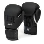 Boxhandschuhe BW-Edition