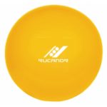 Physioball
