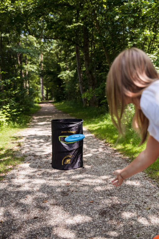 Disc Golf Target