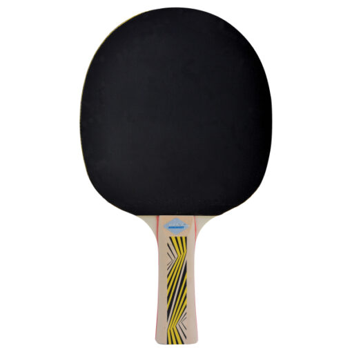Tischtennisschläger Legends 500 12er Set – Bild 2