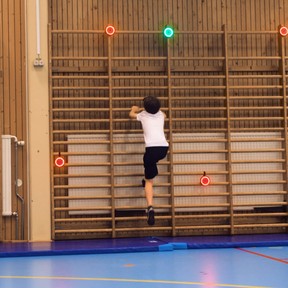 PUSH Reaktionspucks - 4er Set – Bild 4